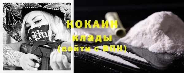 бошки Богданович