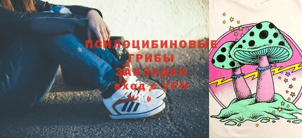 бошки Богданович