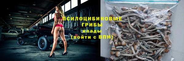 ГАЛЛЮЦИНОГЕННЫЕ ГРИБЫ Богородицк